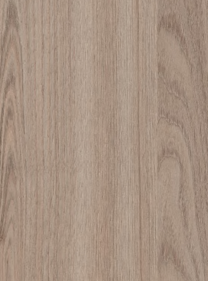 Elm